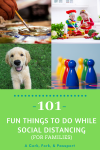 101 Fun Things to do while social distancing4