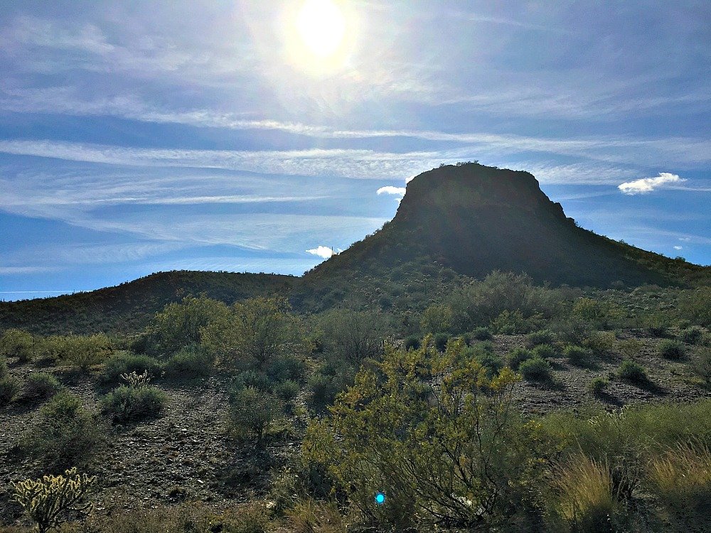 Joshua Tree Forest Parkway, Scenic Route 93 Arizona A Cork, Fork