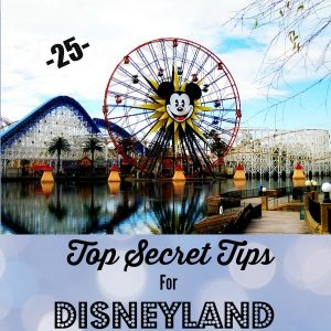 25-Top-Secret-Tips-For-Disneyland