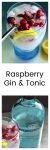Raspberry Gin & Tonic5