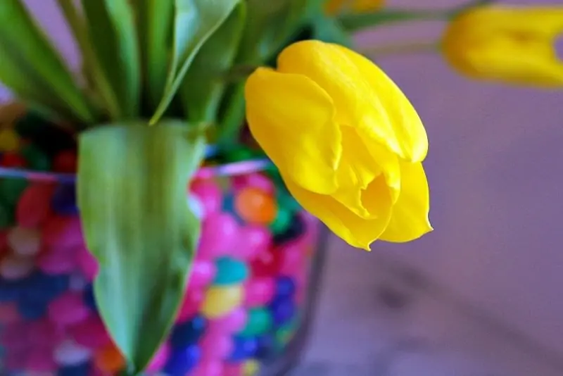 DIY Easter Jelly Bean Centerpiece10