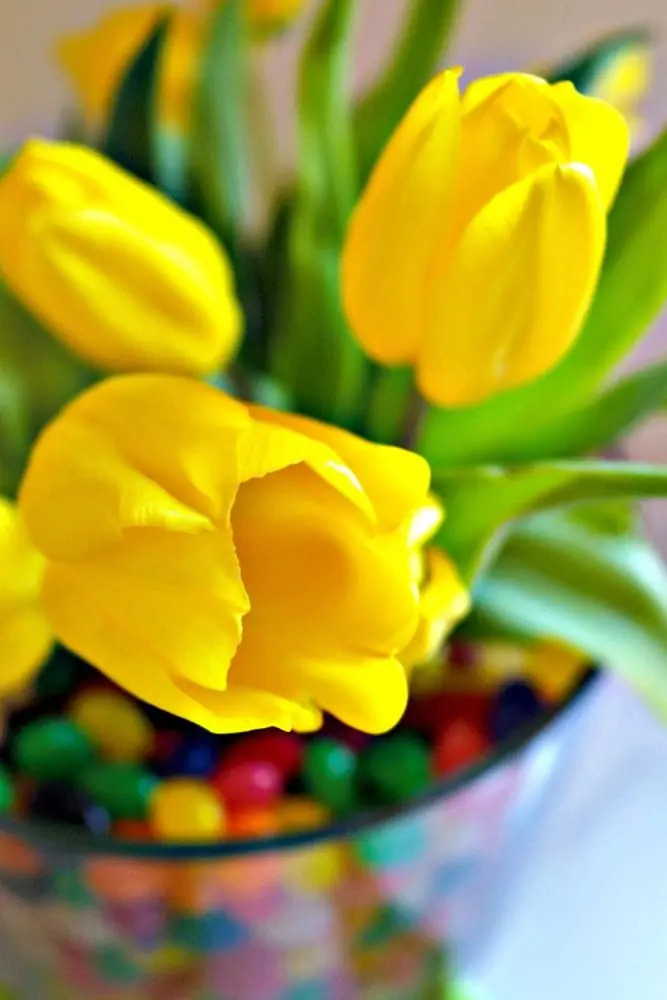 DIY Easter Jelly Bean Centerpiece6
