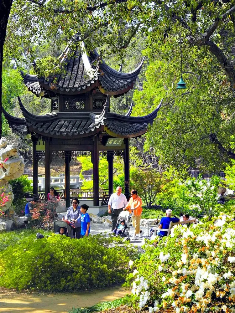 Huntington Library & Gardens11