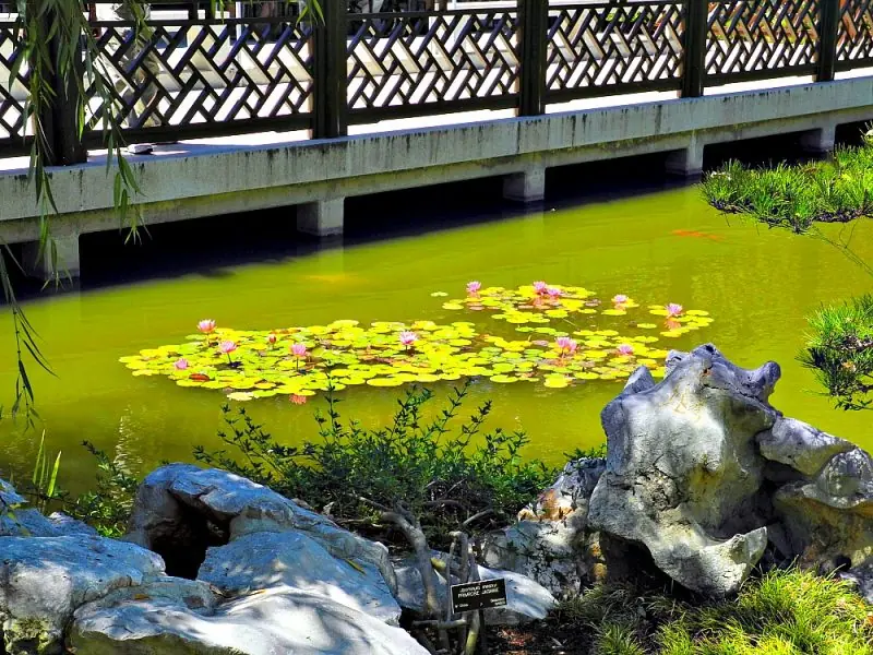 Huntington Library & Gardens18