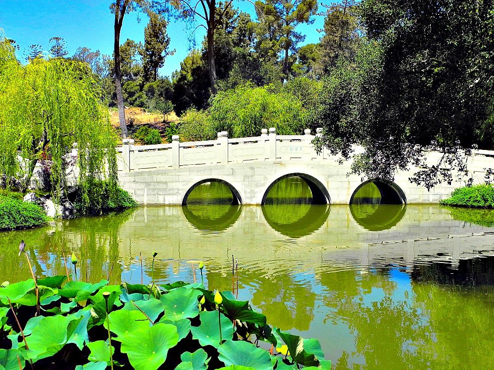 A Visit To The Huntington Library & Gardens A Cork, Fork, & Passport