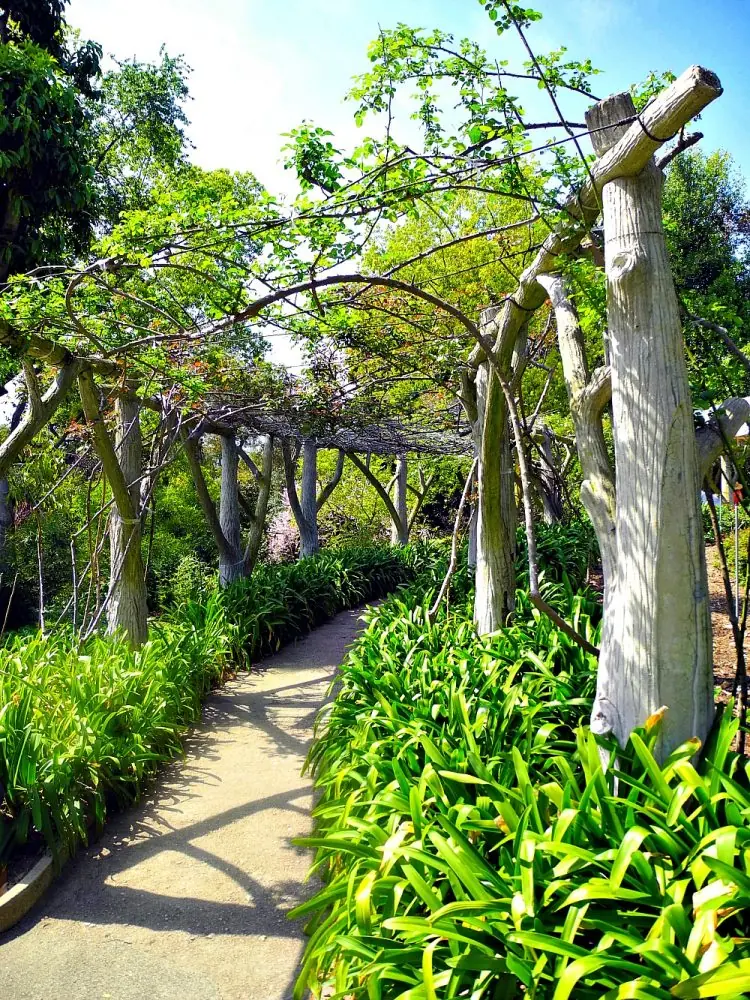 Huntington Library & Gardens3