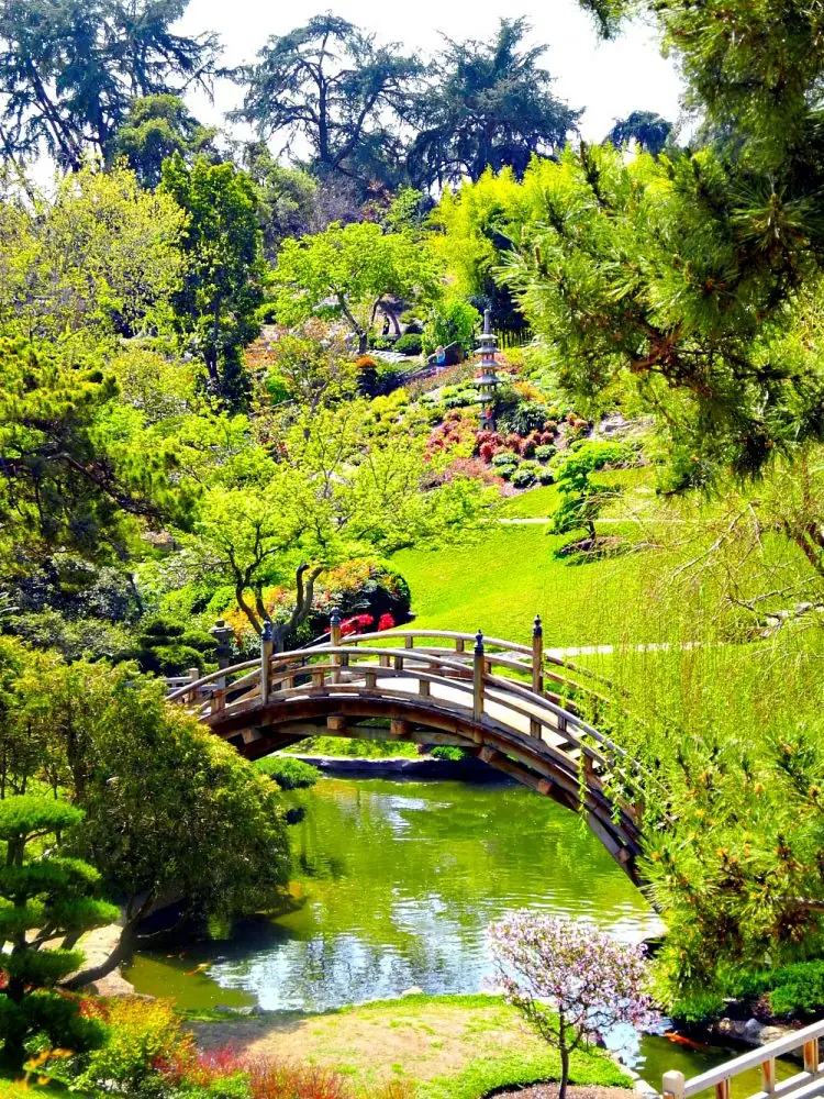Huntington Library & Gardens6