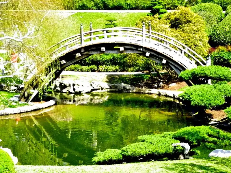 Huntington Library & Gardens7