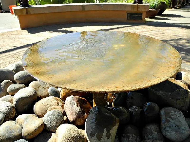 The Desert Botanical Garden1