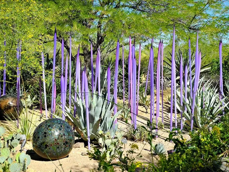 The Desert Botanical Garden18