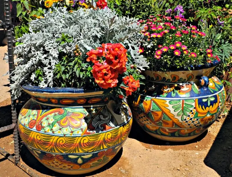 The Desert Botanical Garden29