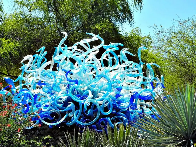 The Desert Botanical Garden5