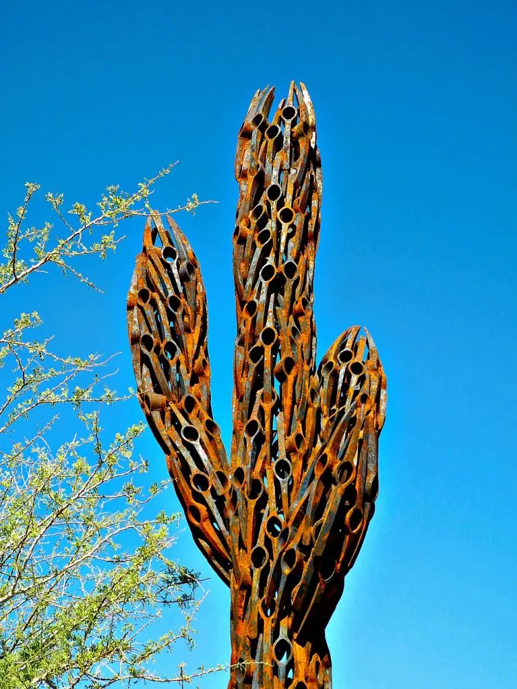 The Desert Botanical Garden8
