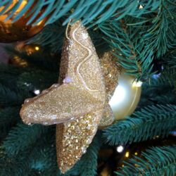 Christmas Markets on a Viking Rhine River Cruise50