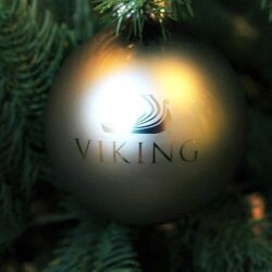 Christmas Markets on a Viking Rhine River Cruise53