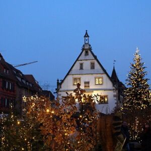 Christmas on a Viking River Cruise12