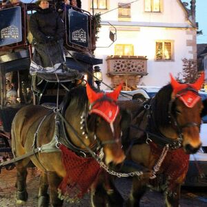Christmas on a Viking River Cruise15