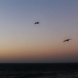 Luxe Family Getaway at Pantai Inn La Jolla22