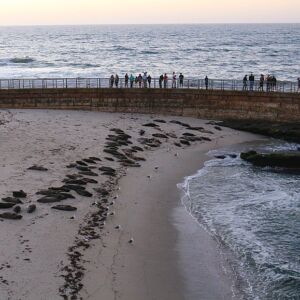 Luxe Family Getaway at Pantai Inn La Jolla23