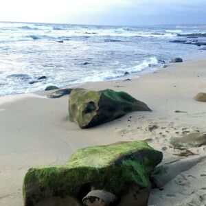 Luxe Family Getaway at Pantai Inn La Jolla41