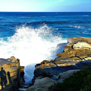 Luxe Family Getaway at Pantai Inn La Jolla42