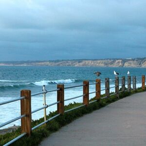 Luxe Family Getaway at Pantai Inn La Jolla47