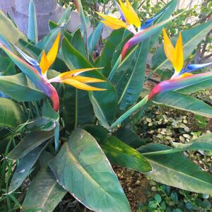 Luxe Family Getaway at Pantai Inn La Jolla50